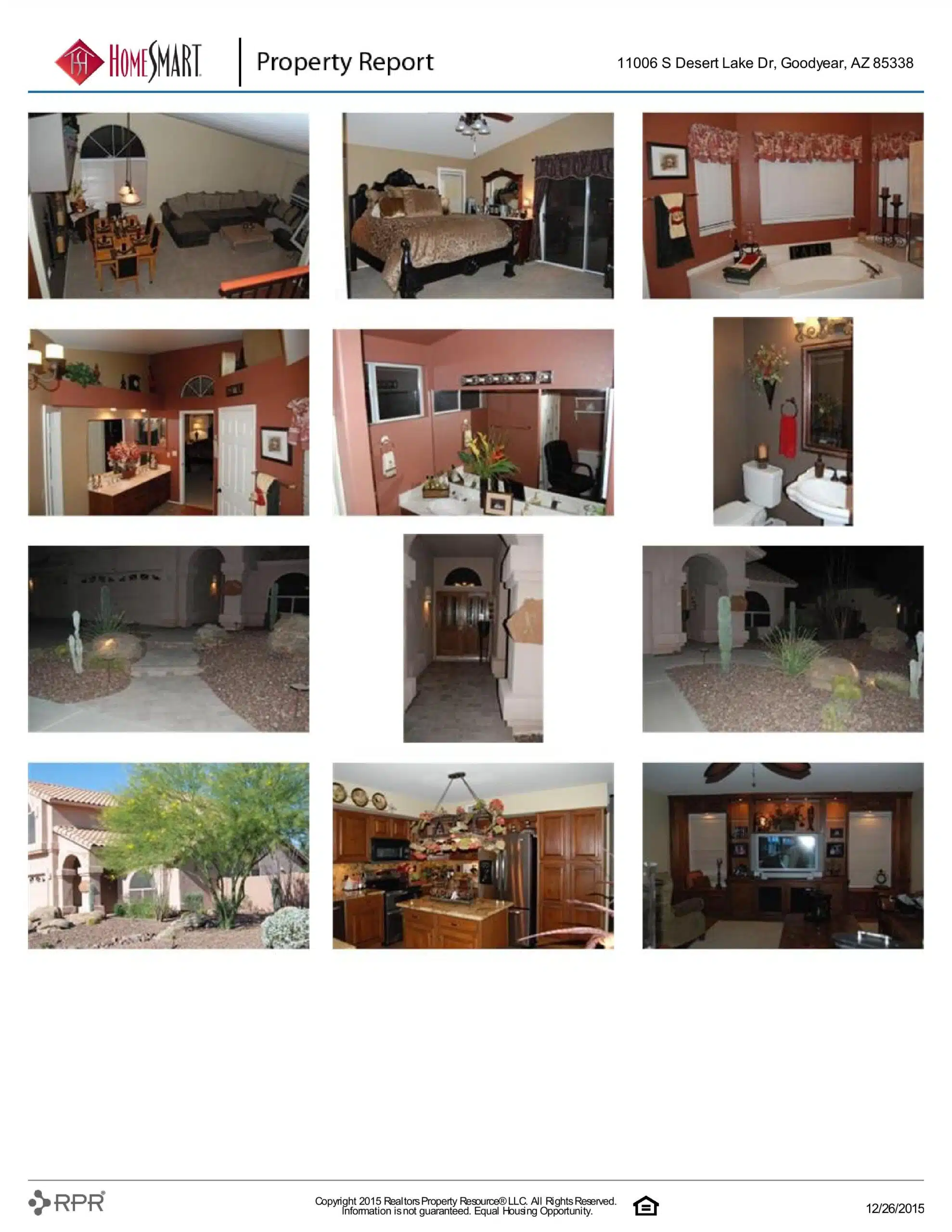 11006 S DESERT LAKE DR-page-009