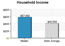 HOUSEHOLD INCOME GRAPH